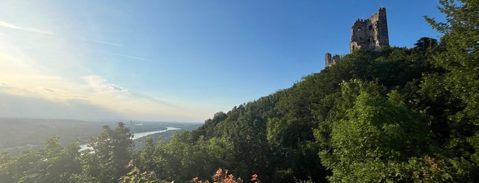 Drachenfels is one of Cologne 2018 - Bilić Family Trip.