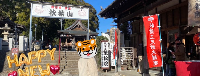 秋葉神社 is one of 静岡市の神社.