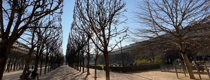 Le Palais Royal is one of Paris.