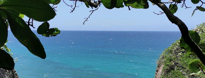 Hiking Trail To Survival Beach is one of Rincon.