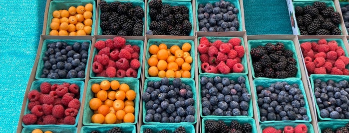 Manhattan Beach Farmer's Market is one of Organic.