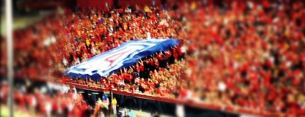 Arizona Stadium is one of Experience Teams & Venues.