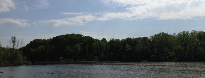 Lake Isaac Waterfowl Sanctuary is one of Places I've Been.