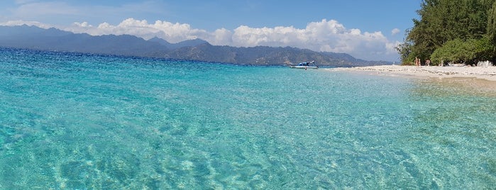 Turtle Point Dive Site is one of Tempat yang Disukai Sophie.