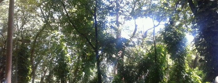 Horto Florestal is one of Em Campo Grande.