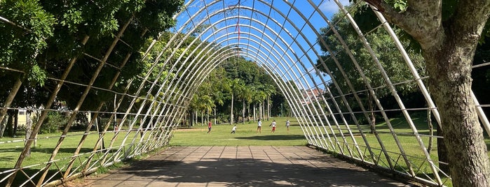 Parque da Cidade is one of Must go places in Salvador.