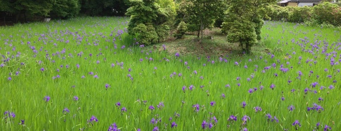 大田ノ沢のカキツバタ群落 is one of Kyoto Plan.