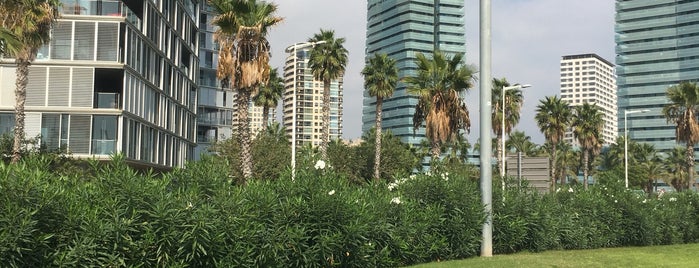 Passeig Marítim del Bogatell is one of BP’s Liked Places.