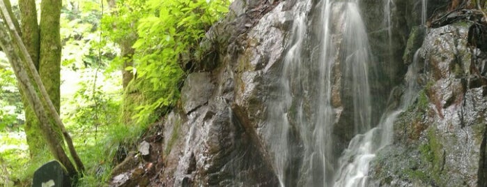 石尊の滝 is one of 茨城.