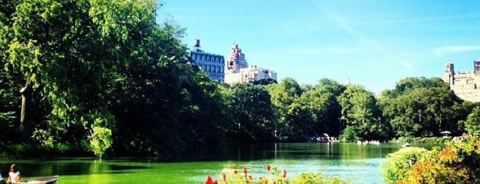 Central Park is one of First Trip to NY.