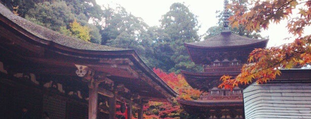 西明寺 is one of 神仏霊場 巡拝の道.