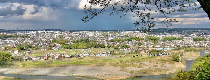 羽村神社 is one of 東京23区以外(除町田八王子).