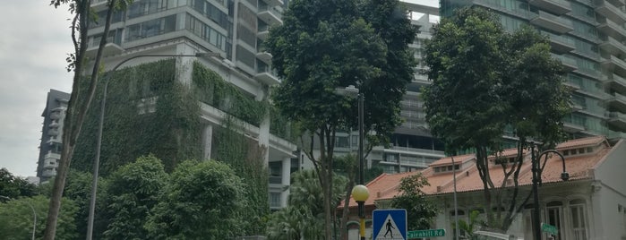 Cairnhill Road is one of Singapore: business while travelling (part 2).