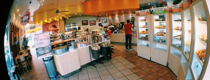 citadel converse store