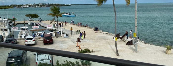 Whale Harbor Marina is one of Key West.