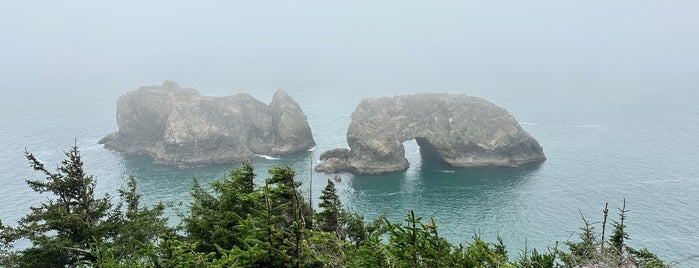 Arch Rock is one of PNW + no cal.
