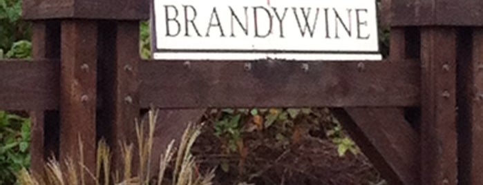 Brandywine is one of Lugares favoritos de Johnnie.