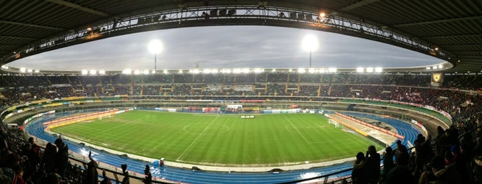 Stadio Marc'Antonio Bentegodi is one of Luoghi frequentati.