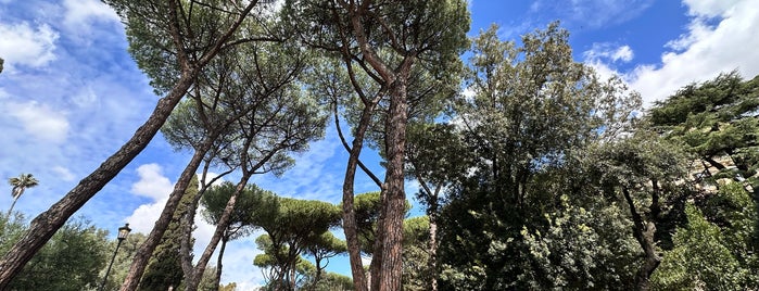 Parco del Colle Oppio is one of Rome | Gardens.
