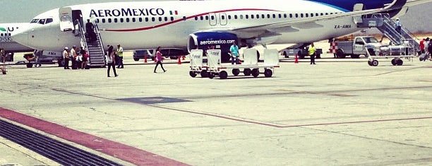 Aeropuerto Internacional de Los Cabos (SJD) is one of Cabo '23 To-Do.