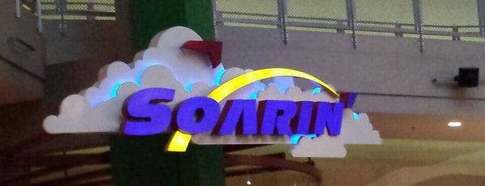 Soarin' is one of Kindra’s Liked Places.
