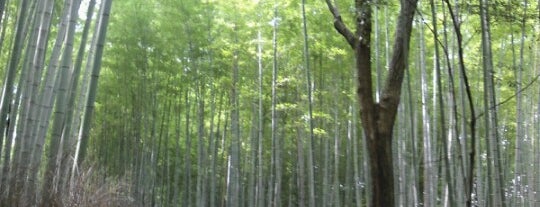 嵐山東公園 is one of Kyoto_Sanpo.