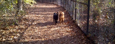 Timber Creek Park - Dog Park is one of Locais salvos de Jesse.