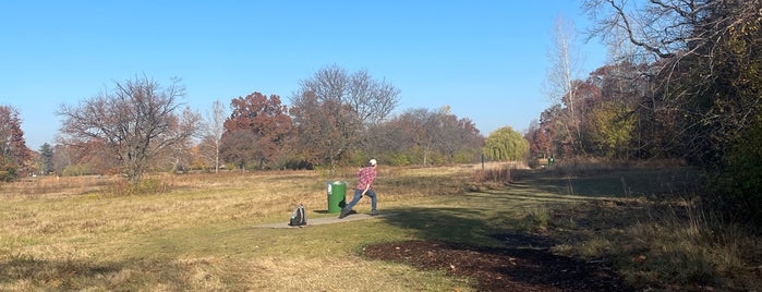 Palmer Park is one of Detroit tourist locales.