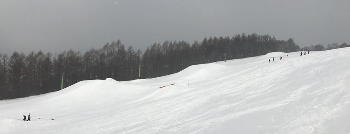 武尊牧場スキー場 is one of 滑ったところ.