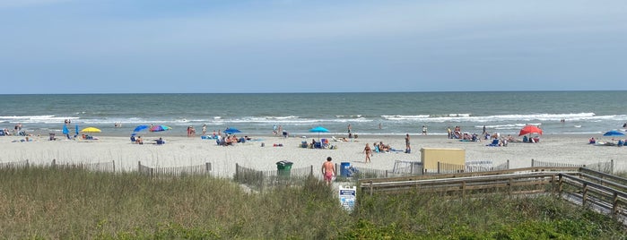 The 11 Best Places For Daiquiri In Myrtle Beach