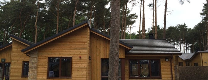 Center Parcs is one of EU - Attractions in Great Britain.