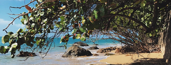 Playa Almirante is one of Puerto Rico.