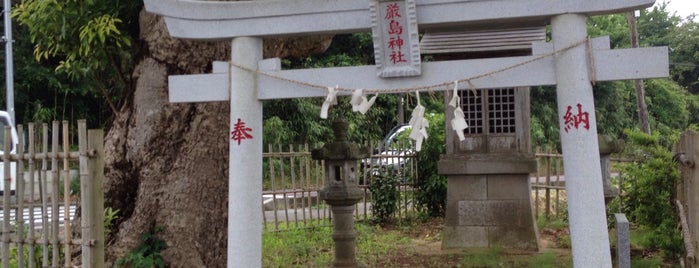 厳島神社 is one of 千葉県の行ってみたい神社.