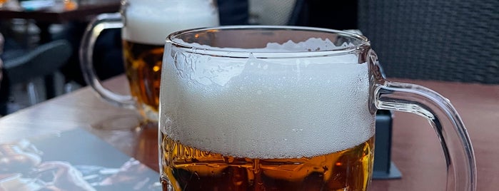 U Salzmannů is one of Kam na pivo.