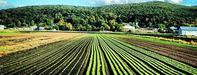 Warwick Valley Winery & Distillery is one of My Veg spots.