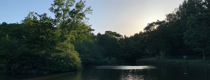 こども自然公園 is one of お気に入り.