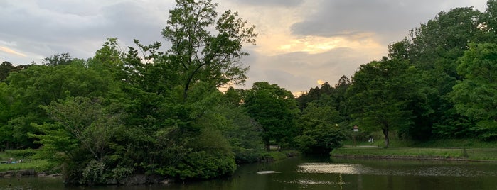 こども自然公園 is one of 横浜周辺のハイキングコース.