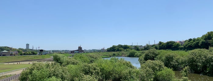 境川遊水地公園 is one of お気に入り.