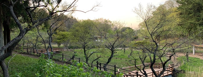 こども自然公園 is one of Tempat yang Disukai fou.