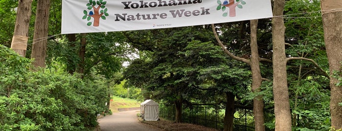 こども自然公園 is one of 横浜周辺のハイキングコース.