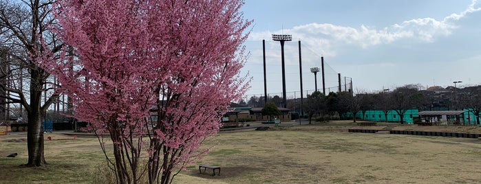 瀬谷本郷公園 is one of 境川ポタ♪.