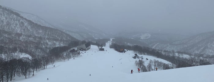 Kagura Ski Resort is one of スノボ.