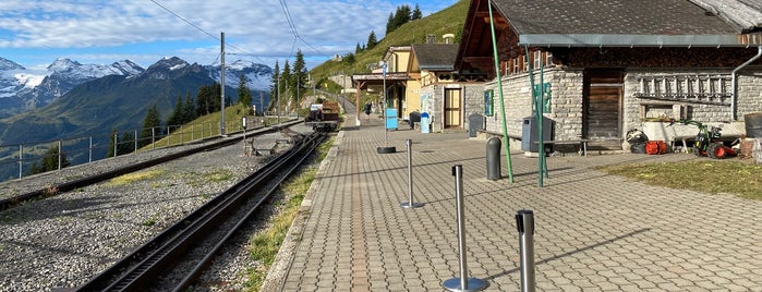Schynigeplatte Bergstation is one of Interlaken.
