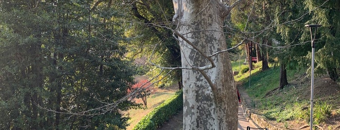 Parco San Michele is one of Lugano places.