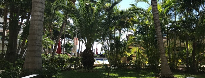 Sina Suites Cancun is one of Locais curtidos por Hugo.