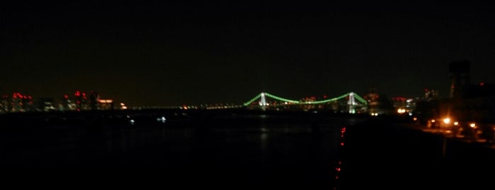 Harumi-ohashi Bridge is one of 日本の名橋999選その１.
