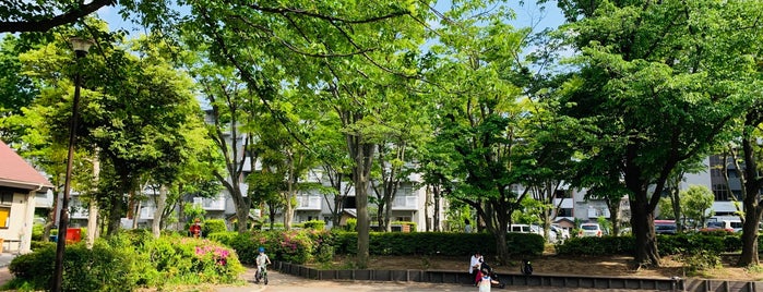茅ヶ崎南 かきのき公園 is one of Park.