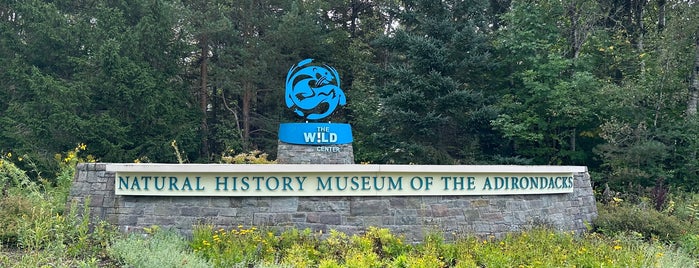 The Wild Center is one of adventures outside nyc.