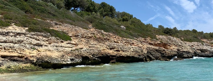 Cala Mandia is one of Timmy : понравившиеся места.