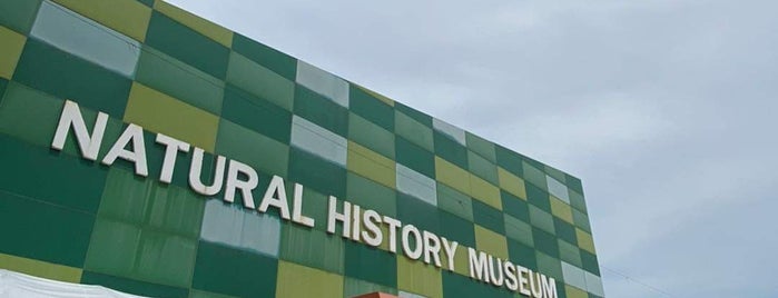 Natural History Museum is one of ขอนแก่น, ชัยภูมิ.